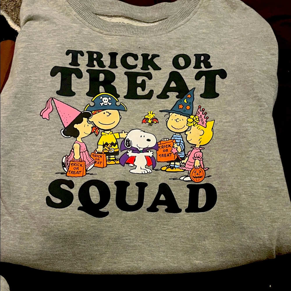 Peanuts Gray Trick or Treat Squad Sweatshirt
